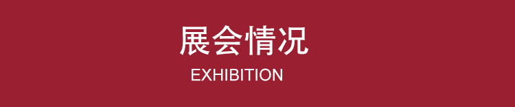 红色标题-展会情况