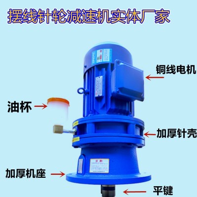 立式搅拌小型减速箱厂家 BLD/XLD行星摆线针轮减速机配纯铜线电机