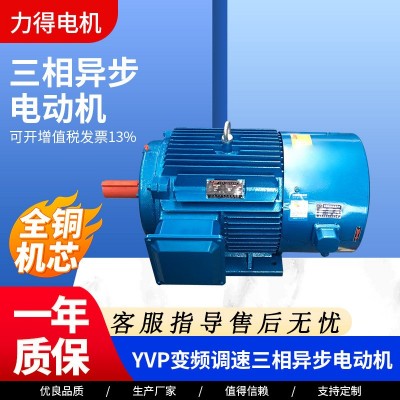 YVP系列变频调三相异步电动机0.75kw-315kw电动机YVP全铜线圈电机