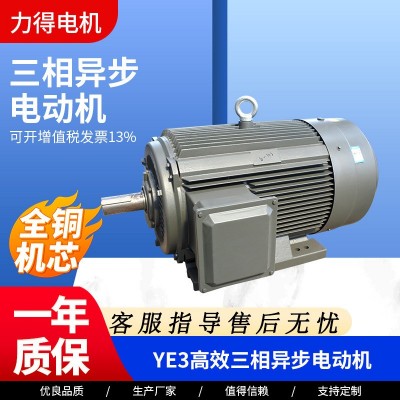 YE3系列全铜卧式 YE3-90L-6 1.1KW三相异步电动机机械设备 用电机